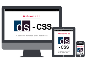 dS-CSS Framework